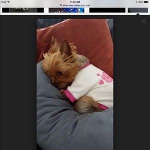 Meet your Posher, Mitzi